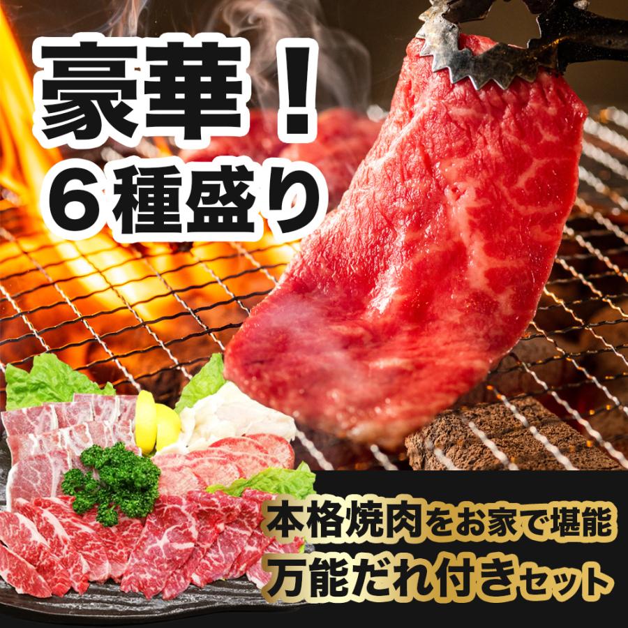 お肉 盛り合わせ 6種 約740g ( 2-3人前 ) ファミリーセット ｜お肉専門店仕入れ｜ 万能タレ付き カルビ テッチャン ハラミ 盛り合わせ 大容量 爆買 |  | 01