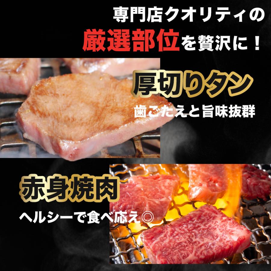 お肉 盛り合わせ 6種 約740g ( 2-3人前 ) ファミリーセット ｜お肉専門店仕入れ｜ 万能タレ付き カルビ テッチャン ハラミ 盛り合わせ 大容量 爆買 |  | 02