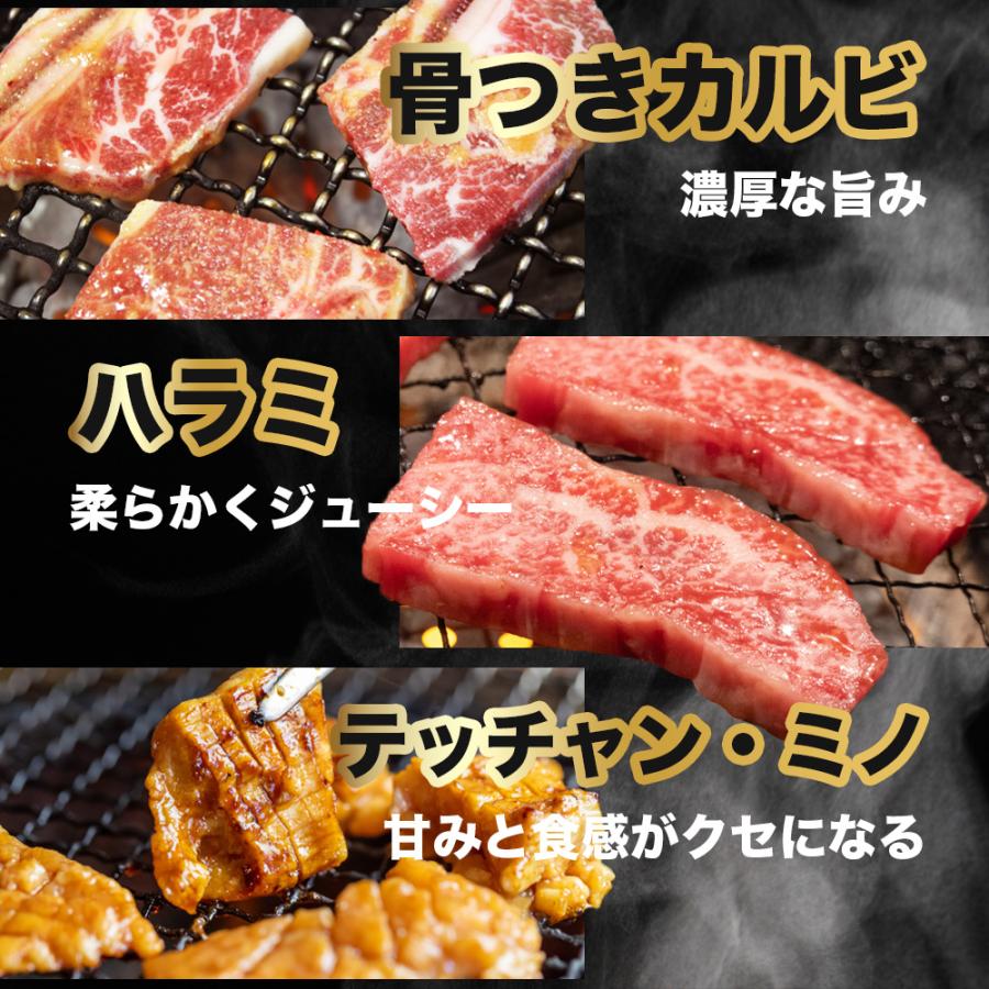 お肉 盛り合わせ 6種 約740g ( 2-3人前 ) ファミリーセット ｜お肉専門店仕入れ｜ 万能タレ付き カルビ テッチャン ハラミ 盛り合わせ 大容量 爆買 |  | 03