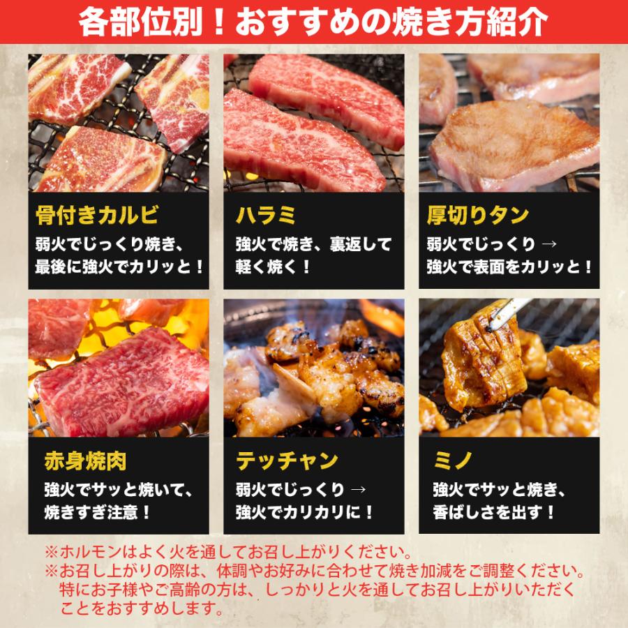 お肉 盛り合わせ 6種 約740g ( 2-3人前 ) ファミリーセット ｜お肉専門店仕入れ｜ 万能タレ付き カルビ テッチャン ハラミ 盛り合わせ 大容量 爆買 |  | 06