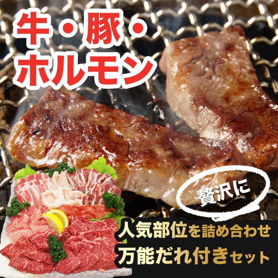 お肉 盛り合わせ 8種 約1,850g ( 4-5人前 ) 大容量セット ｜お肉専門店仕入れ｜ 万能タレ付き カルビ テッチャン ハラミ 盛り 合わせ 焼肉セット 爆買 |  | 01