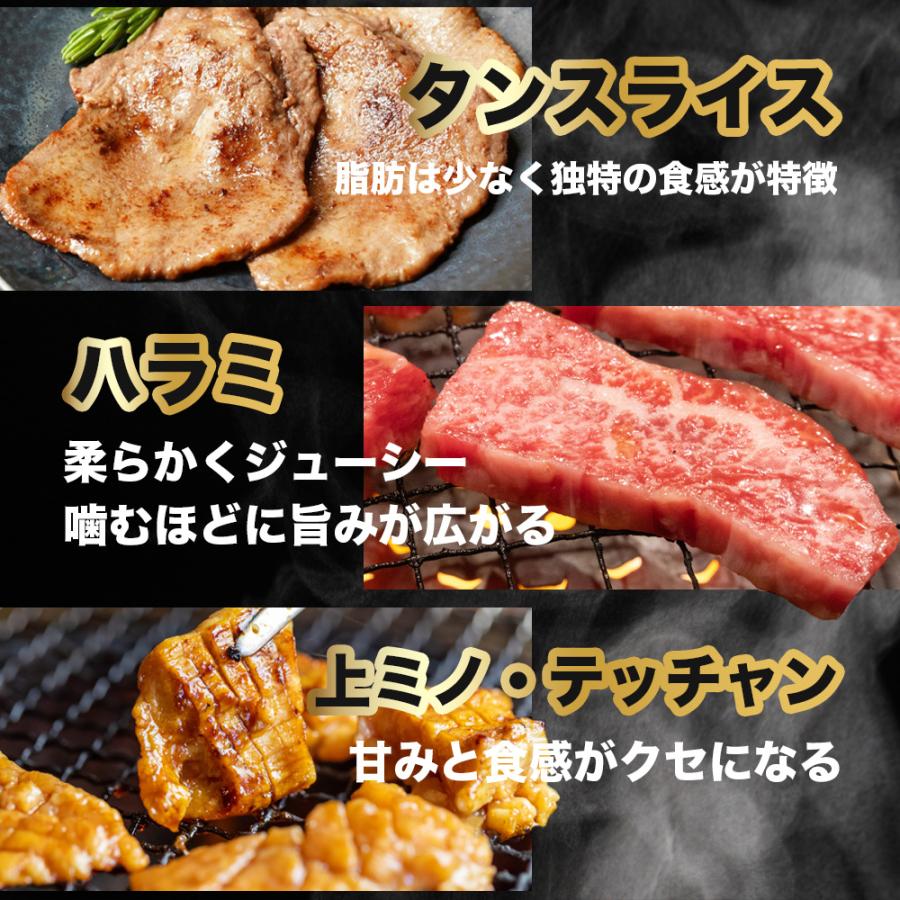 お肉 盛り合わせ 8種 約1,850g ( 4-5人前 ) 大容量セット ｜お肉専門店仕入れ｜ 万能タレ付き カルビ テッチャン ハラミ 盛り 合わせ 焼肉セット 爆買 |  | 03