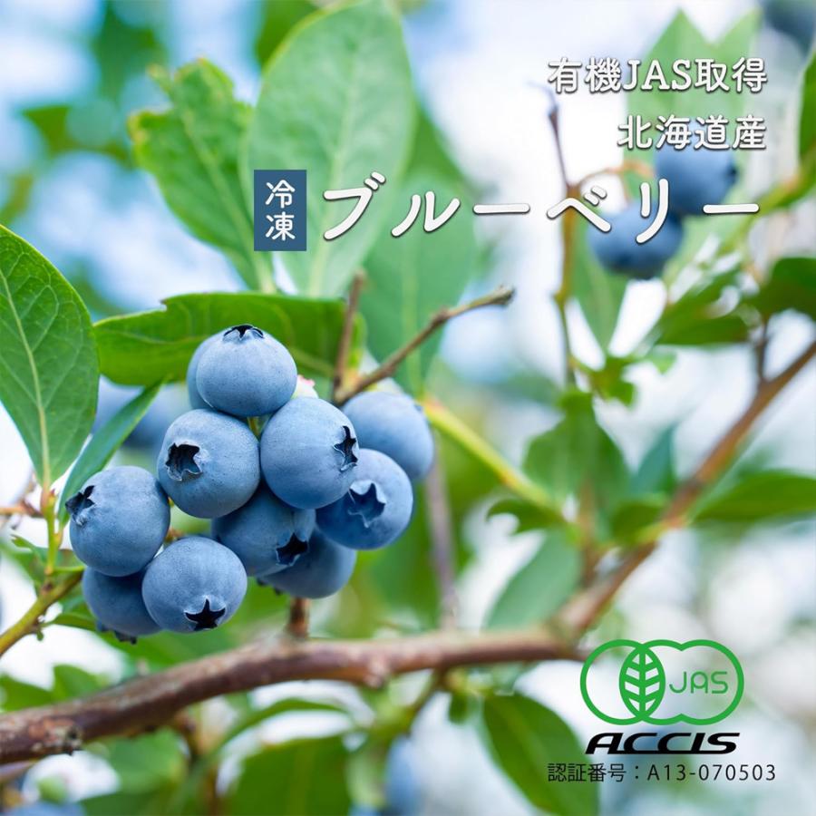 北海道産 冷凍 ブルーベリー 500g オーガニック 有機 JAS認証 砂糖不使用 保存料添加物不使用 小分け 国産ブルーベリー 爆買 |  | 01