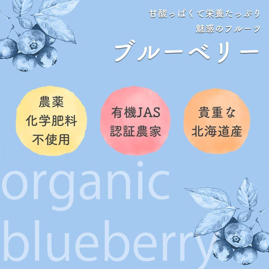 北海道産 冷凍 ブルーベリー 500g オーガニック 有機 JAS認証 砂糖不使用 保存料添加物不使用 小分け 国産ブルーベリー 爆買 |  | 02
