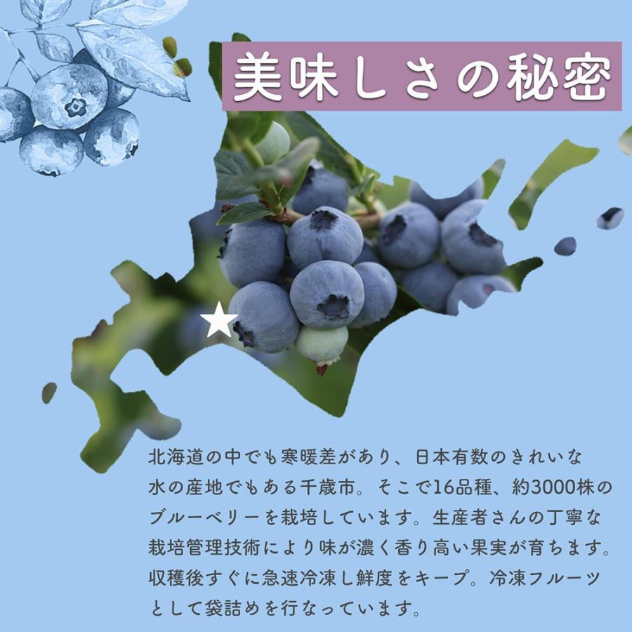 北海道産 冷凍 ブルーベリー 500g オーガニック 有機 JAS認証 砂糖不使用 保存料添加物不使用 小分け 国産ブルーベリー 爆買 |  | 03