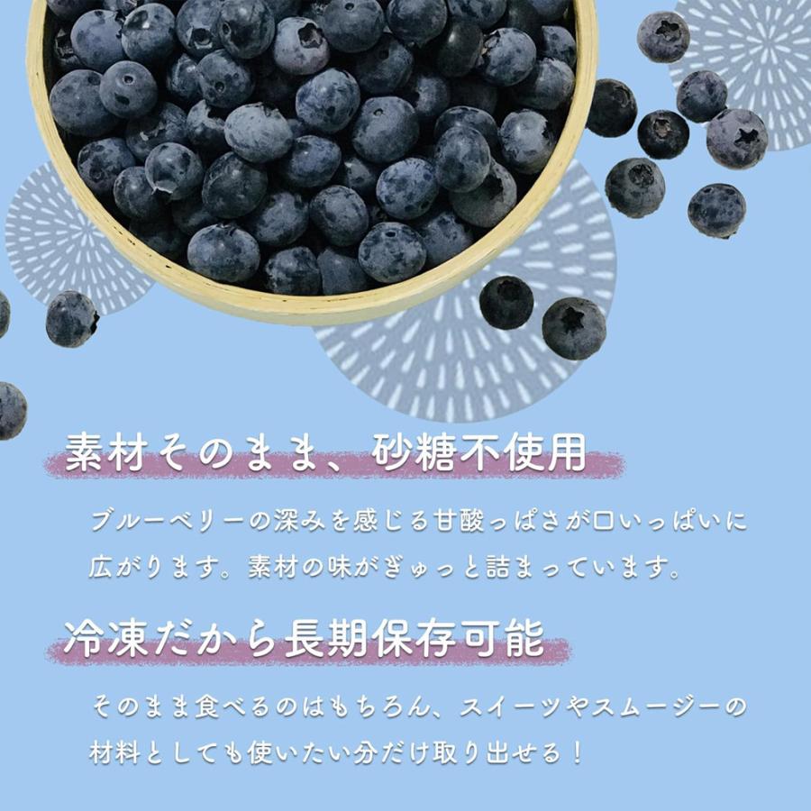 北海道産 冷凍 ブルーベリー 500g オーガニック 有機 JAS認証 砂糖不使用 保存料添加物不使用 小分け 国産ブルーベリー 爆買 |  | 04
