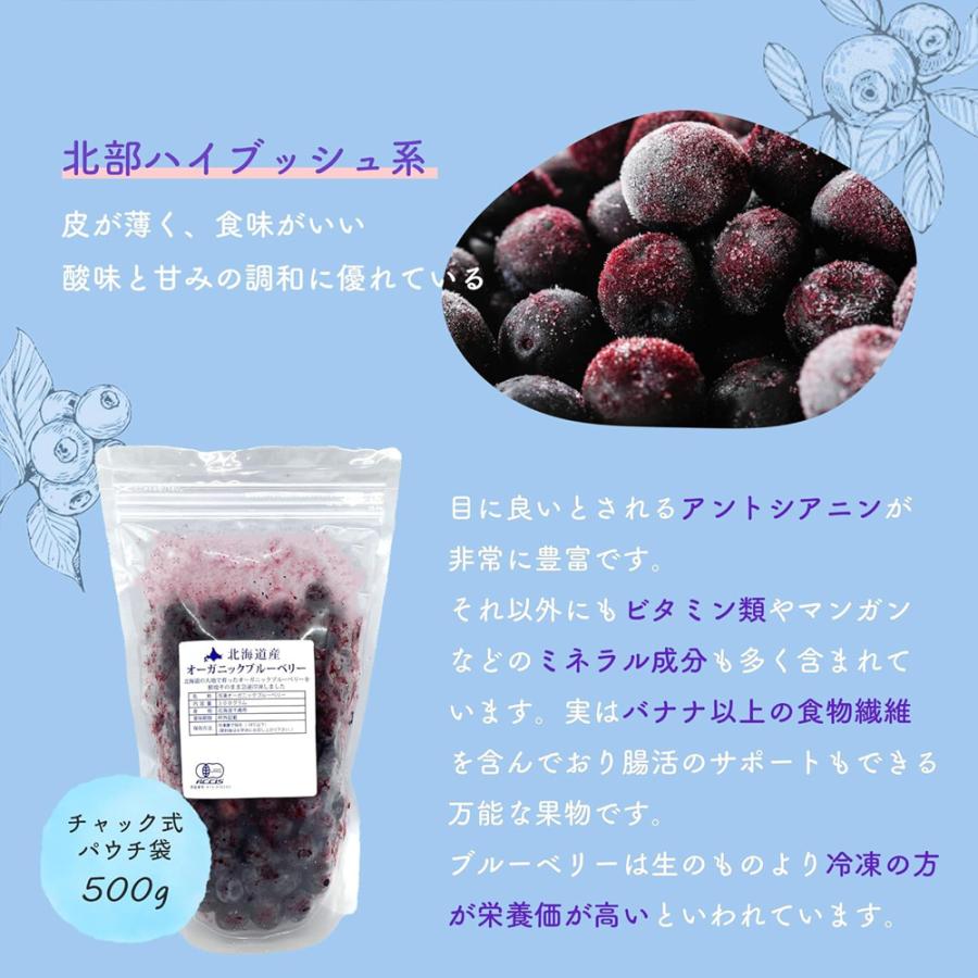 北海道産 冷凍 ブルーベリー 500g オーガニック 有機 JAS認証 砂糖不使用 保存料添加物不使用 小分け 国産ブルーベリー 爆買 |  | 05