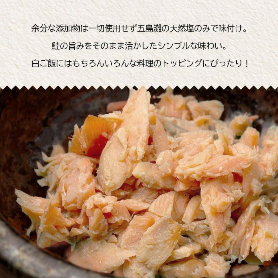 北海道産 鮭フレーク 150g 粗ほぐし 小分け 国産 パウチ 秋鮭 骨なし