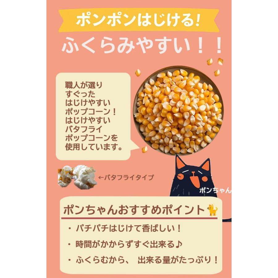 ポップコーン種 無添加 900g 大容量 電子レンジ対応可能 アメリカ産 バタフライタイプ コーン おやつ 爆買 |  | 02