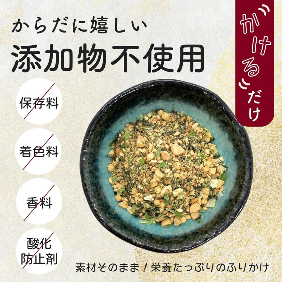 国産 納豆ふりかけ 無添加 60g 国産大豆 乾燥納豆 無添加ふりかけ 煎りごま 有明海苔 ナットウキナーゼ 納豆 ふりかけ 爆買 |  | 03