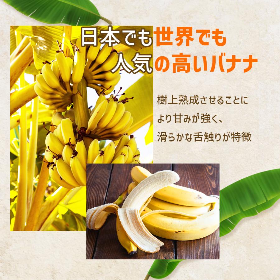 無添加 冷凍 バナナ 2kg (500g×4袋) カット スライス 冷凍バナナ エクアドル産 砂糖不使用 添加物不使用 冷凍フルーツ 爆買 |  | 02