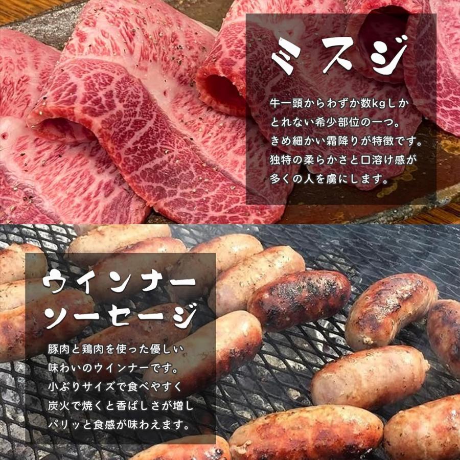 焼肉セット 国産牛 3種 食べ比べ 500g (約2-3人前) 焼肉 牛カルビ ミスジ 牛もも ウインナー 盛り合わせ BBQ キャンプ 爆買 |  | 03