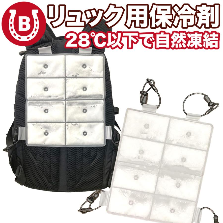保冷剤 リュック ランドセル 背中用 28℃以下で自然凍結 背中 保冷剤 冷却 繰り返し使える クールパッド 大人 子供 ベビーカー 暑さ対策 熱中症予防 爆買 | 