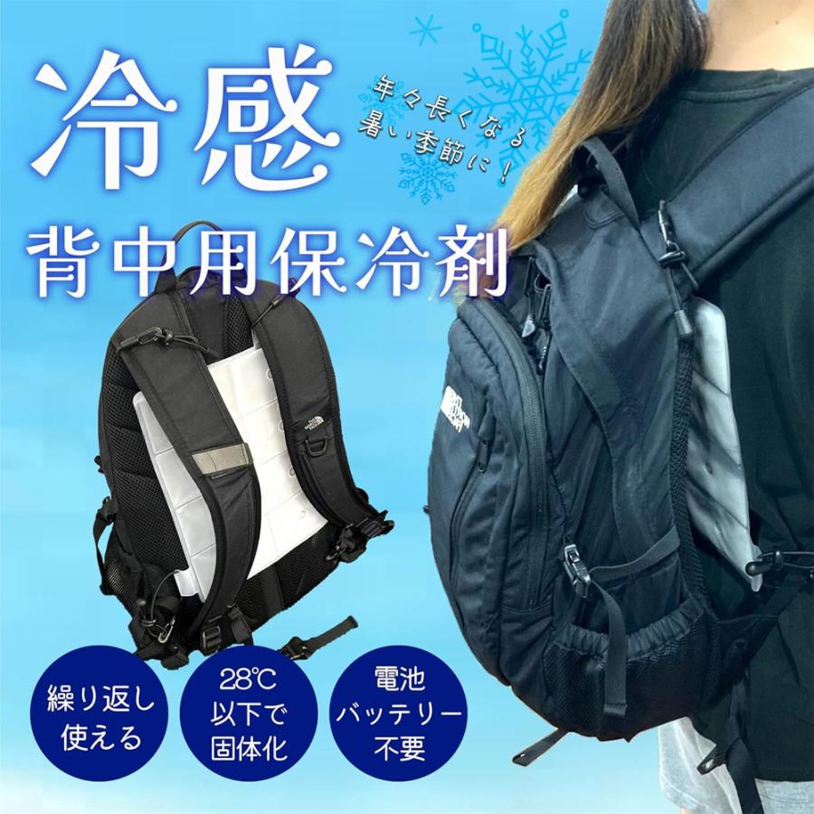 保冷剤 リュック ランドセル 背中用 28℃以下で自然凍結 背中 保冷剤 冷却 繰り返し使える クールパッド 大人 子供 ベビーカー 暑さ対策 熱中症予防 爆買 |  | 01