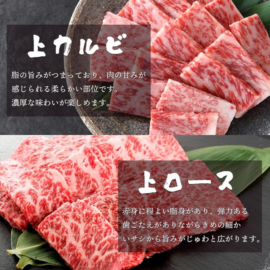 鹿児島黒牛 特選 焼肉セット 厚切り 上カルビ 上ロース 300g 焼肉 セット バーベキュー BBQ 厚切り肉 冷凍肉 食品 爆買 |  | 04