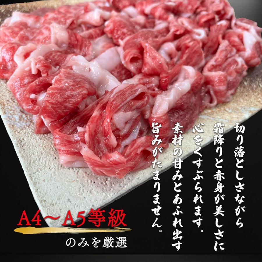 鹿児島黒牛 鹿児島牛 切り落とし 500g 大容量 牛肉 国産 肉 霜降り 赤身肉 和牛 爆買 |  | 02