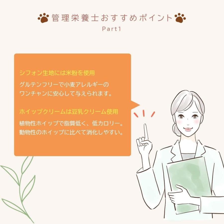 犬用 ハロウィン シフォンケーキ かぼちゃ味 栄養士監修 グルテンフリー 米粉シフォン 2個セット 爆買 |  | 04