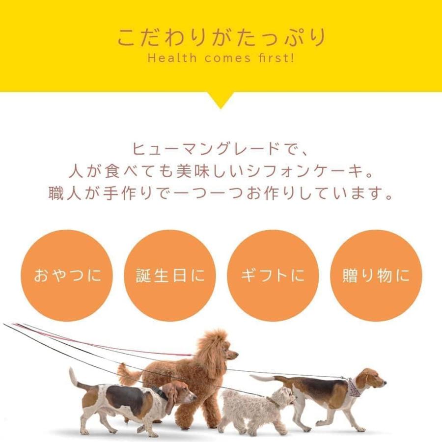 犬用 ハロウィン シフォンケーキ かぼちゃ味 栄養士監修 グルテンフリー 米粉シフォン 2個セット 爆買 |  | 05