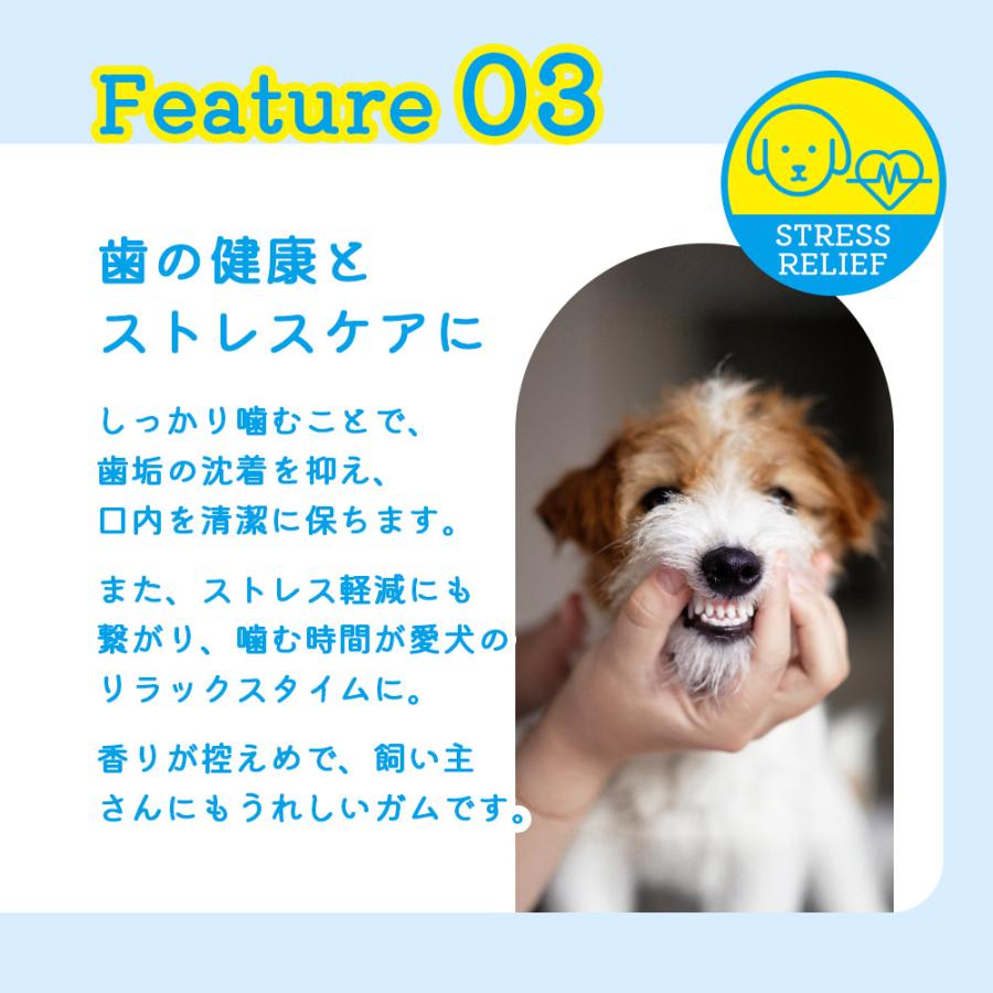 犬 おやつ ガム 無添加 大容量 国産 デンタルスティック 50本 ペットフード デンタルケア |  | 05
