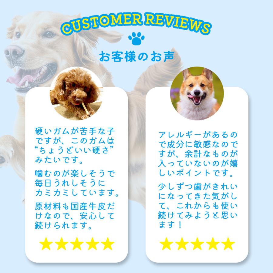 犬 おやつ ガム 無添加 大容量 国産 デンタルスティック 50本 ペットフード デンタルケア |  | 07