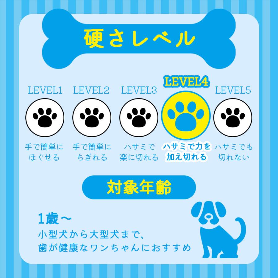 犬 おやつ ガム 無添加 大容量 国産 デンタルスティック 100本 (50本×2袋) ペットフード デンタルケア |  | 08