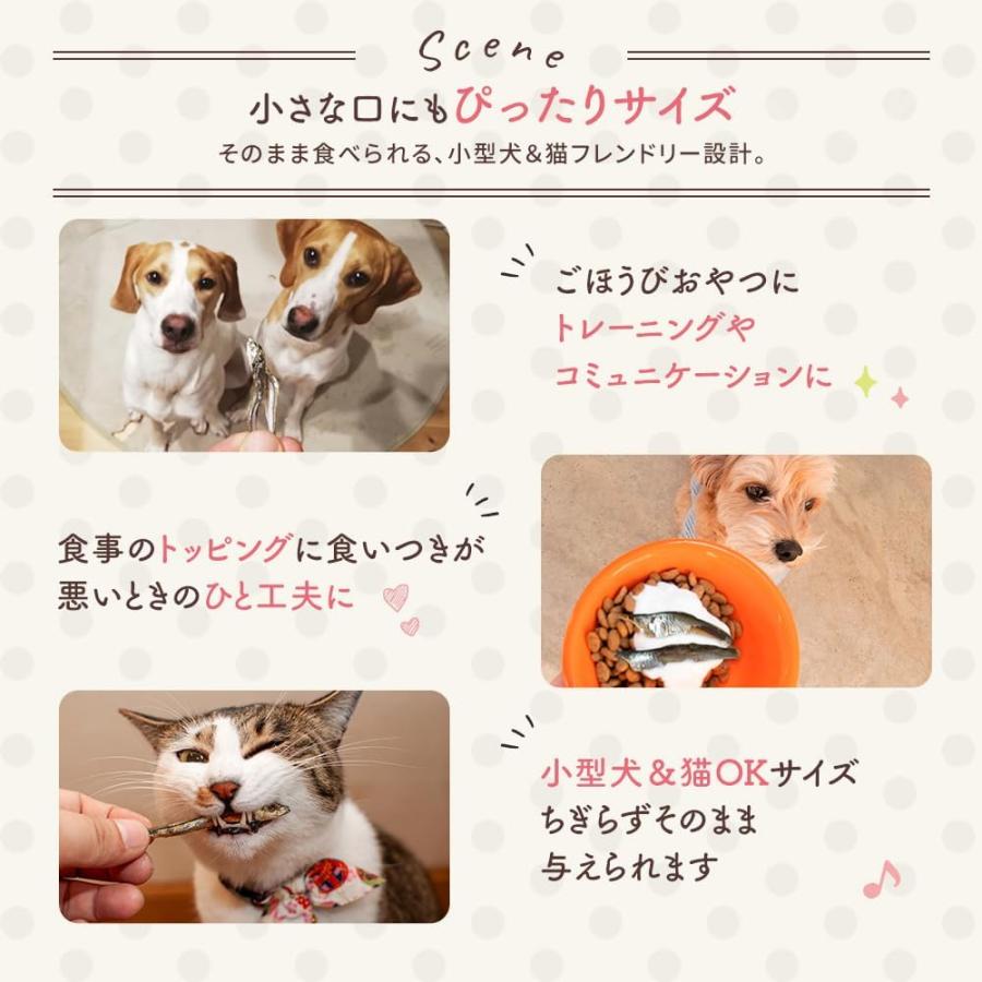 おやつ 煮干し 120g 犬 猫 無添加おやつ 国産煮干し 減塩小魚 イワシ にぼし いりこ ペット 保存料 着色料不使用 |  | 04