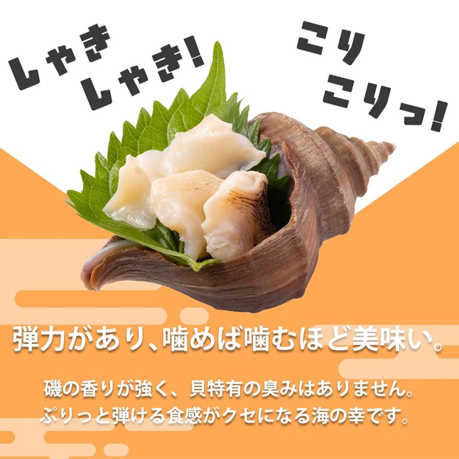 生 つぶ貝 開き 500g (30-50粒) 肉厚 コリコリ 冷凍 つぶ貝開き 生食用 刺身 バイ貝 ばい貝 ツブ貝 海鮮 シーフード |  | 02