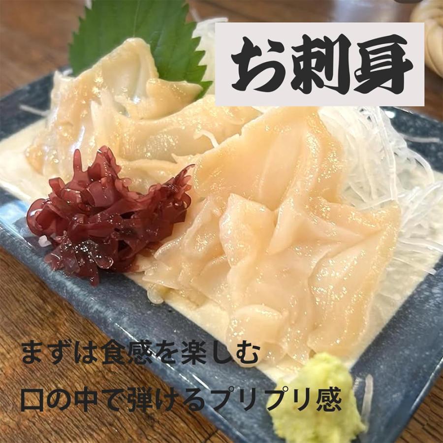 生 つぶ貝 開き 500g (30-50粒) 肉厚 コリコリ 冷凍 つぶ貝開き 生食用 刺身 バイ貝 ばい貝 ツブ貝 海鮮 シーフード |  | 05