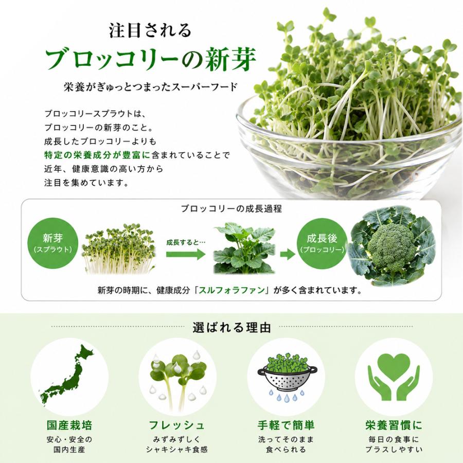 国産 ブロッコリースプラウト 40g (3袋) 機能性表示食品 スルフォラファン サラダ トッピング 新芽 簡単 |  | 02