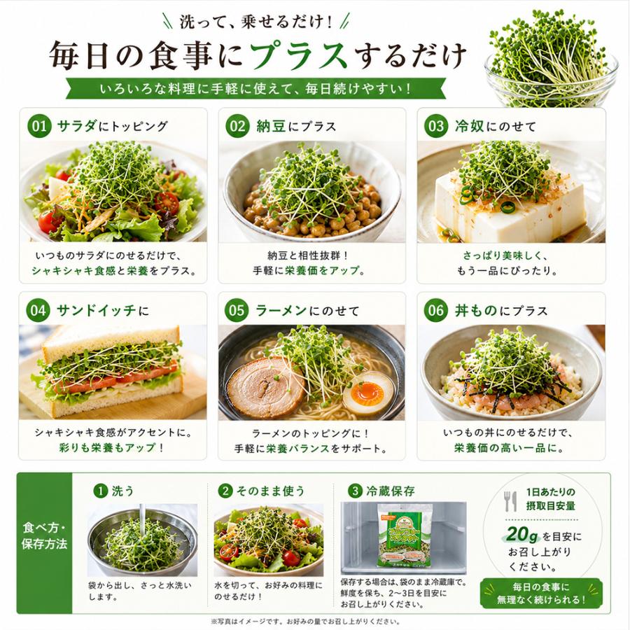 国産 ブロッコリースプラウト 40g (3袋) 機能性表示食品 スルフォラファン サラダ トッピング 新芽 簡単 |  | 06