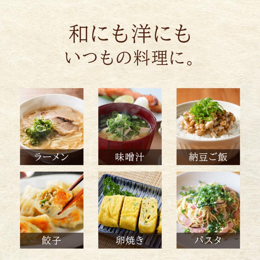 京都府産 乾燥 九条ネギ 20g 無添加 長期保存 薬味 乾燥野菜 乾燥ねぎ ブドウ糖 着色料 保存料 不使用 |  | 06