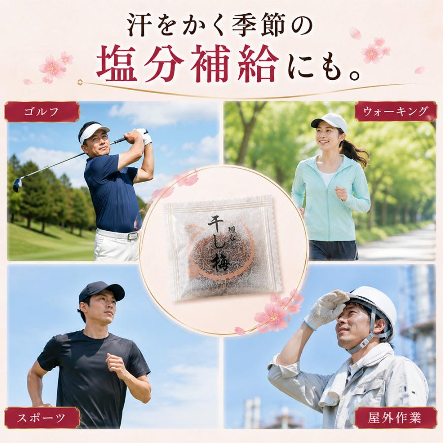 干し梅 個包装 沖縄県産 加工 黒糖使用 種なし おやつ 種なし お茶請け 間食 塩分 糖分 補給 熱中症対策 |  | 06