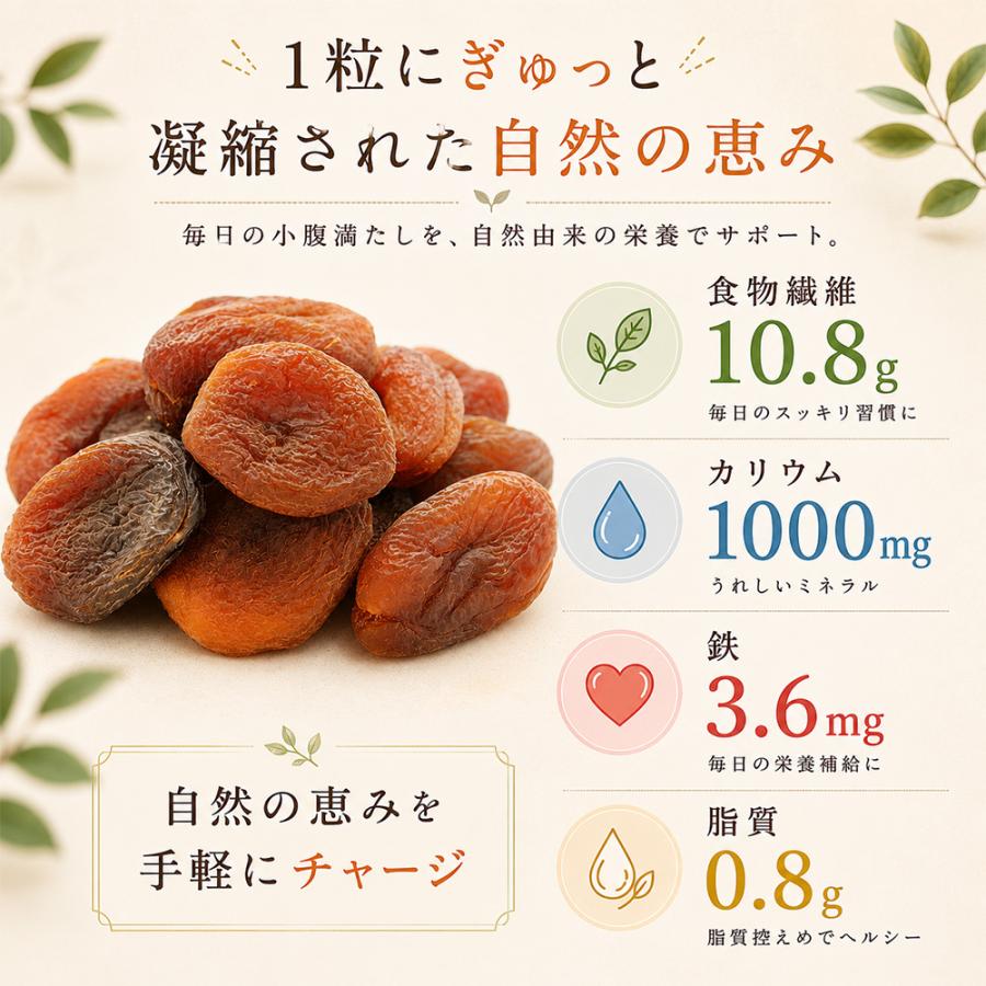 有機 ドライアプリコット オーガニック 100g 有機JAS認証 種抜き 砂糖不使用 保存料不使用 ドライフルーツ トルコ産 ヘルシーおやつ 鉄分 カリウム 豊富 低脂質 |  | 03