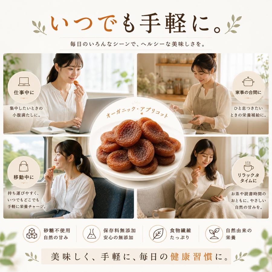 有機 ドライアプリコット オーガニック 100g 有機JAS認証 種抜き 砂糖不使用 保存料不使用 ドライフルーツ トルコ産 ヘルシーおやつ 鉄分 カリウム 豊富 低脂質 |  | 05