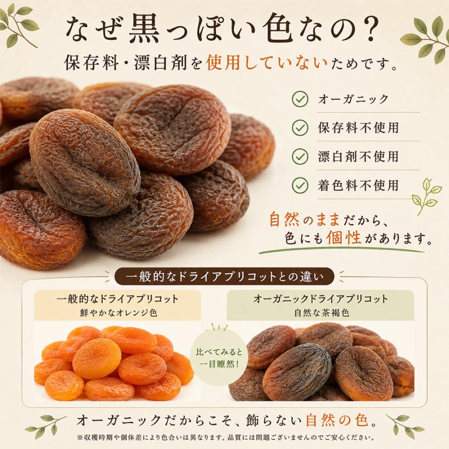 有機 ドライアプリコット オーガニック 100g 有機JAS認証 種抜き 砂糖不使用 保存料不使用 ドライフルーツ トルコ産 ヘルシーおやつ 鉄分 カリウム 豊富 低脂質 |  | 07
