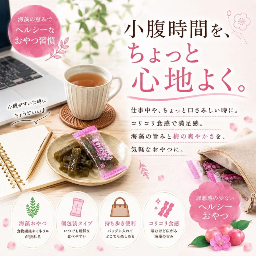 梅茎わかめ 500g 大容量 個包装 わかめ 梅しそ味 おつまみ 駄菓子 塩分補給 ヘルシー スナック 間食 |  | 04