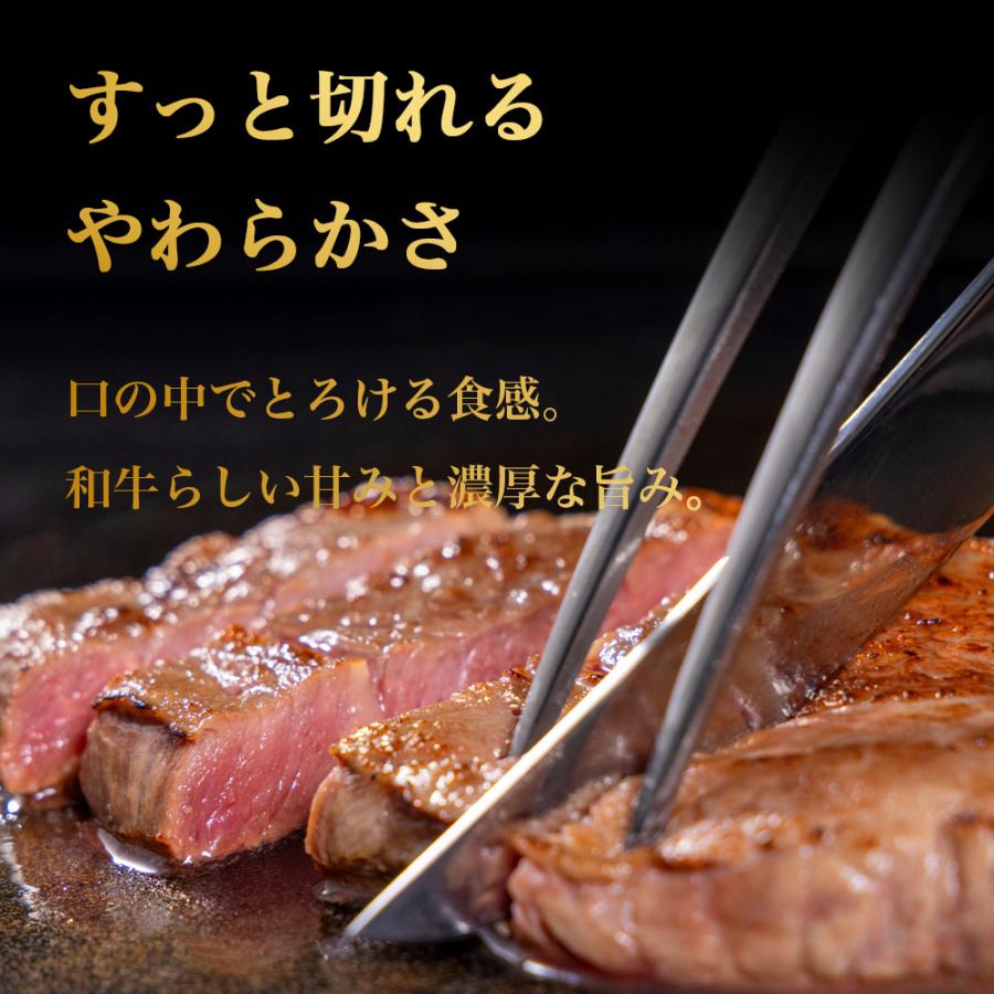 宮崎牛 サーロイン ステーキ 大判 500g A4等級以上 ギフト 内祝い お祝い 記念日 肉ギフト サーロインステーキ 高級和牛 和牛 |  | 03