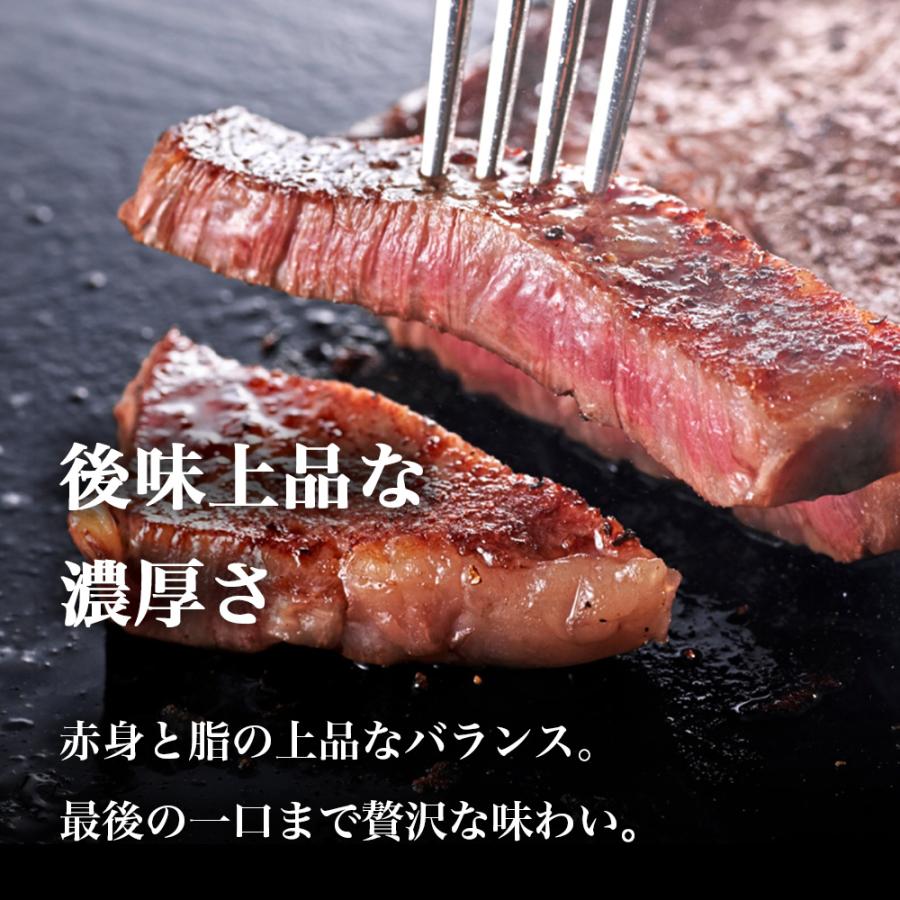 宮崎牛 サーロイン ステーキ 大判 500g A4等級以上 ギフト 内祝い お祝い 記念日 肉ギフト サーロインステーキ 高級和牛 和牛 |  | 04