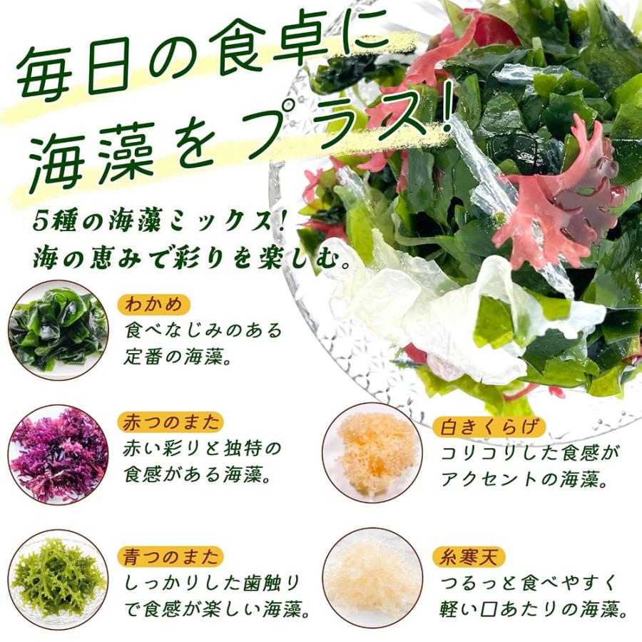 乾燥海藻サラダ 5g×15包 個包装 水で戻すだけ 5種の具材 わかめ 赤つのまた 糸寒天 白きくらげ 青つのまた サラダの具 トッピング |  | 05
