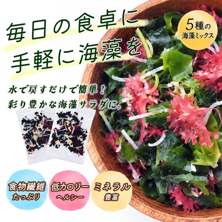 乾燥海藻サラダ 5g×40包 個包装 水で戻すだけ 5種の具材 わかめ 赤つのまた 糸寒天 白きくらげ 青つのまた サラダの具 トッピング |  | 01