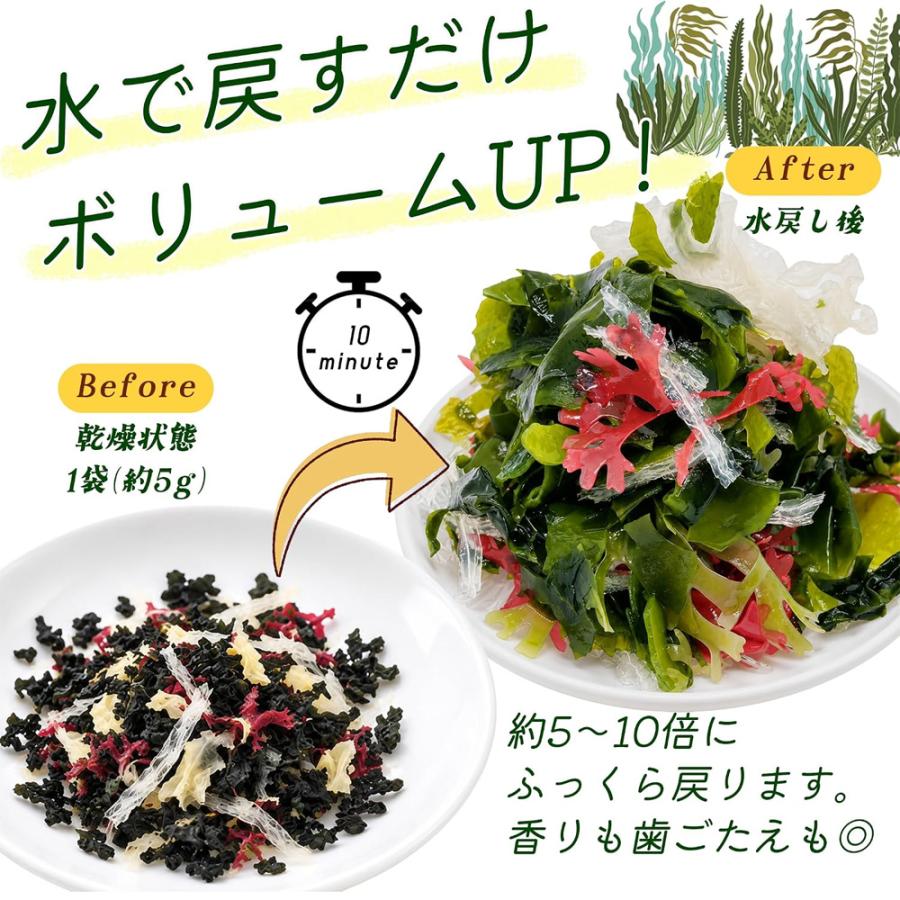 乾燥海藻サラダ 5g×40包 個包装 水で戻すだけ 5種の具材 わかめ 赤つのまた 糸寒天 白きくらげ 青つのまた サラダの具 トッピング |  | 02