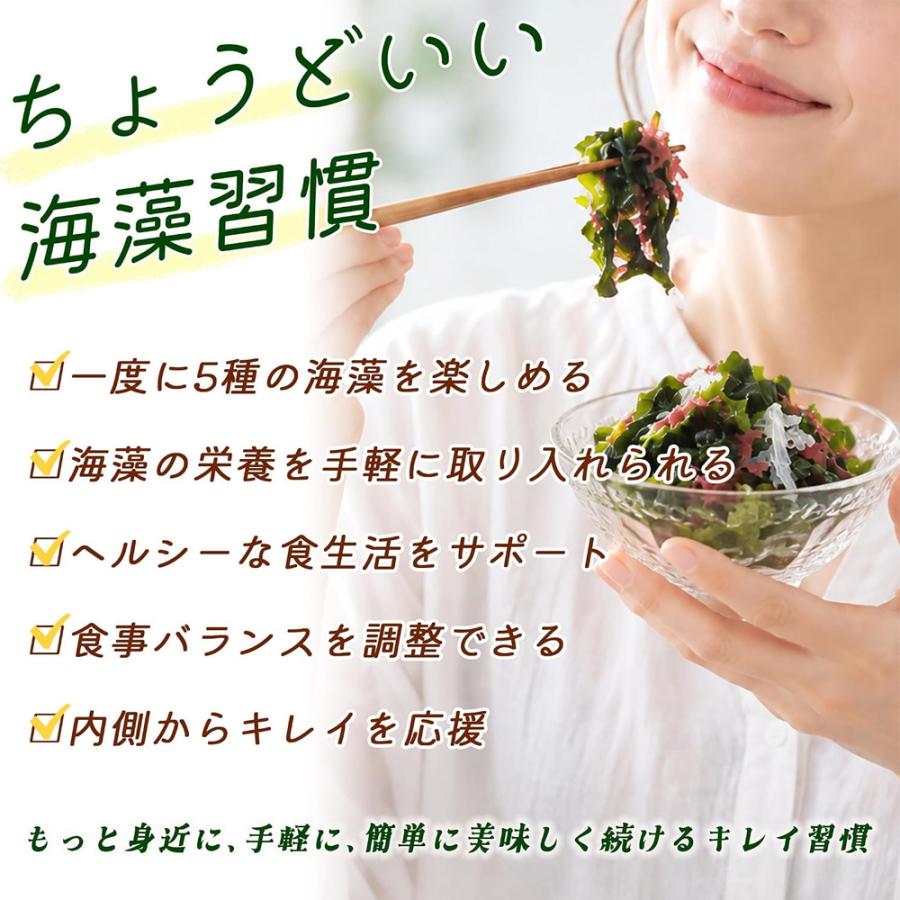 乾燥海藻サラダ 5g×40包 個包装 水で戻すだけ 5種の具材 わかめ 赤つのまた 糸寒天 白きくらげ 青つのまた サラダの具 トッピング |  | 06