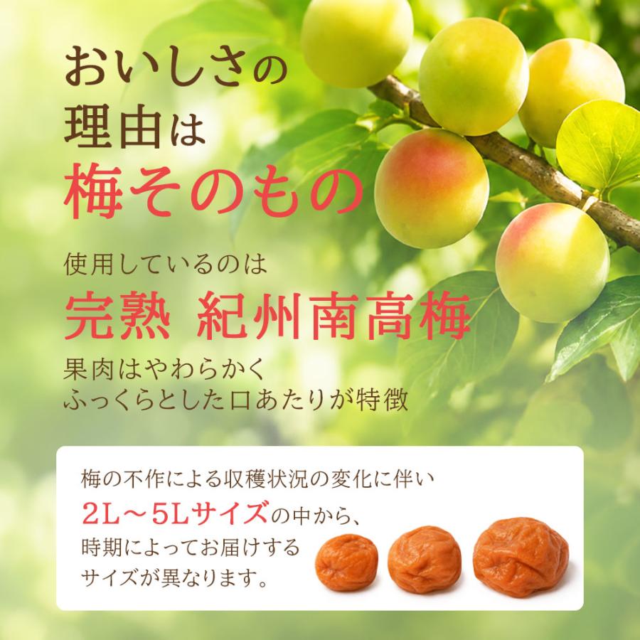 梅干し 訳あり 減塩 はちみつ 塩分3% 紀州南高梅 大粒 つぶれ梅 800g