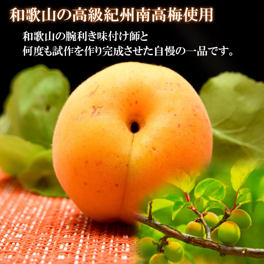 白干し 梅干し 訳あり 塩分20% つぶれ梅 800g(400g×2個) 紀州南高梅