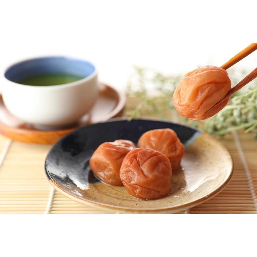 白干し 梅干し 訳あり 塩分20% つぶれ梅 800g(400g×2個) 紀州南