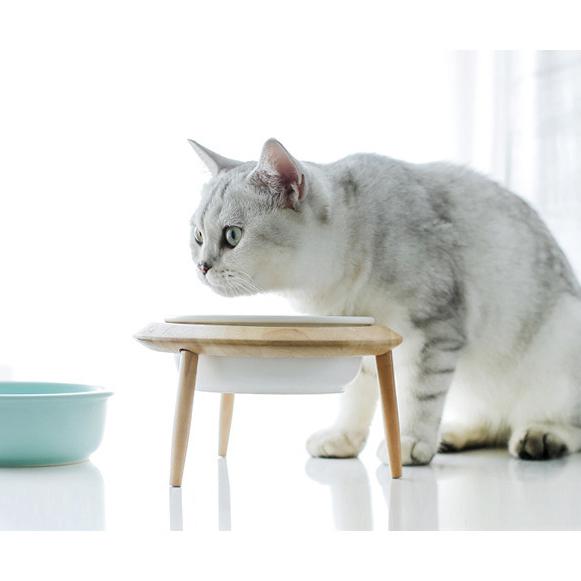 高さ 角度 調整 餌台 犬餌台 猫皿 水飲み器 猫 餌入れ 食器 陶器 加熱可 最大600ml 電子レンジ 食洗機対応 Mk746 Nextaceヤフー店 通販 Yahoo ショッピング
