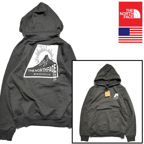 The North Face USAモデル Novelty Graphic Hoodie ノースフェイス USAモデル メンズ ノベルティ