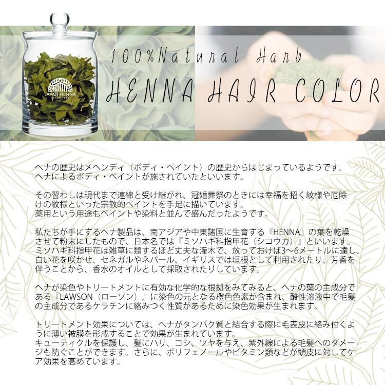 EHJ ヘナジャパン ハーブマホガニー 500x２ JAPAN HENNA ジャパンヘナ 100g 選択式 お好きな色をご選択 ヘナ