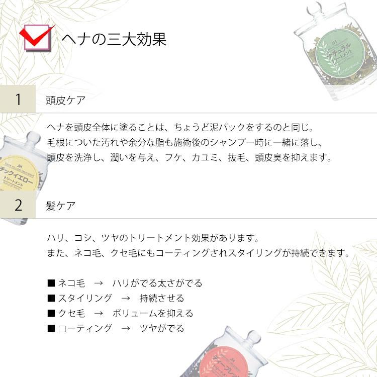 EHJ ヘナジャパン ハーブマホガニー 500x２ JAPAN HENNA ジャパンヘナ 100g 選択式 お好きな色をご選択 ヘナ