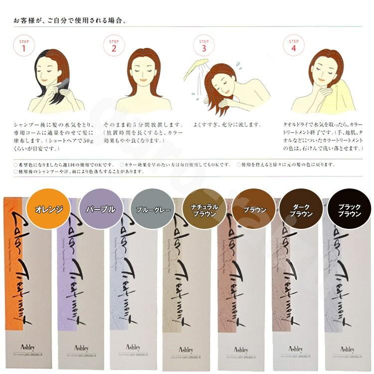 ホーユー hoyu アシュレーカラートリートメント 230gブラシ付き